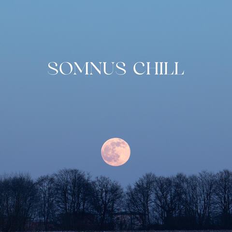 Somnus Chill: Relaxing Tape with Music for Restful Sleep