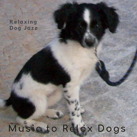 Relaxing Dog Jazz