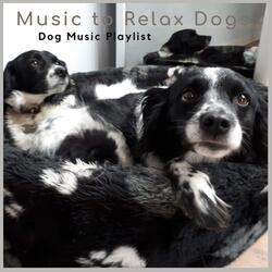 Relaxing Puppy Dog Jazz -3