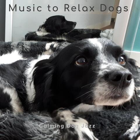 Calming Dog Jazz