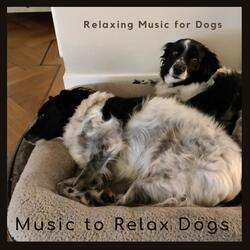 Relaxing Dog Music- 5