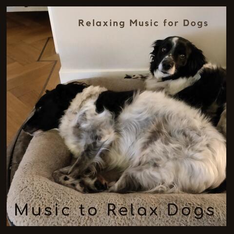 Relaxing Dog Music
