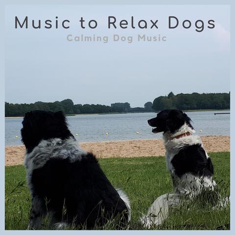 Calming Dog Music