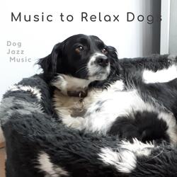 Dog Jazz Music
