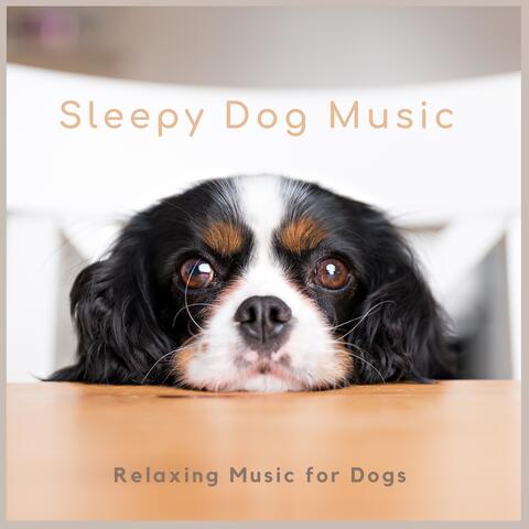 Relaxing Music for Dogs