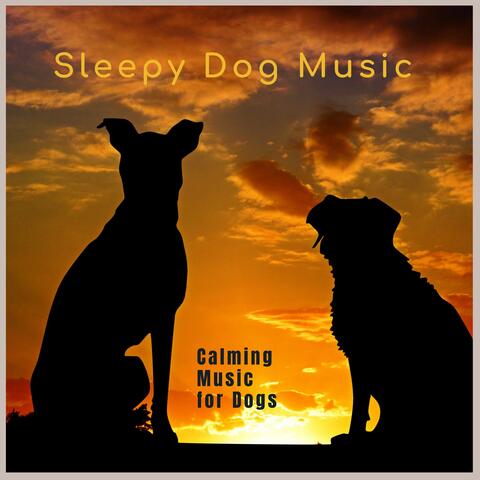 Calming Music for Dogs