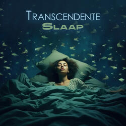 Pure 0,4 - 4,5 Hz Epsilon-golven