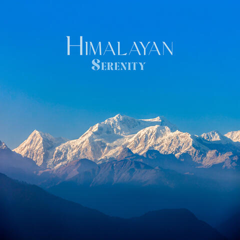 Himalayan Serenity: A Journey into Tibetan Contemplation