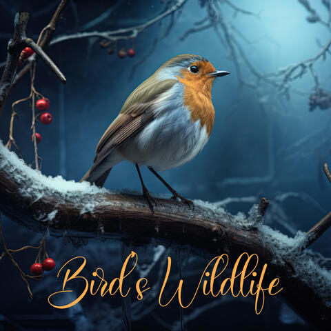 Bird’s Wildlife: Positive Affirmations, Calm Meditation, Nature Therapy with Singing Birds
