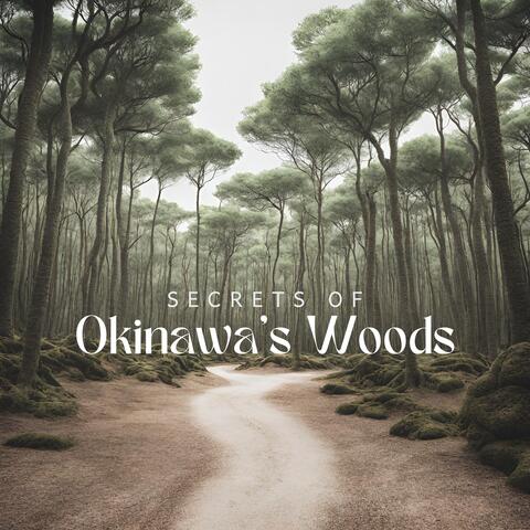 Secrets of Okinawa's Woods