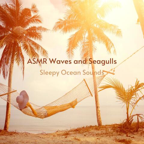 Sleepy Ocean Sounds
