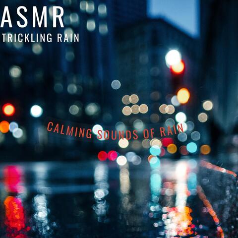 Calming Sounds of Rain