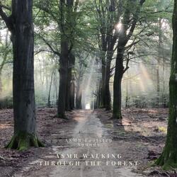 The Sounds of Footsteps