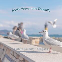 Calming Sea Rumbling