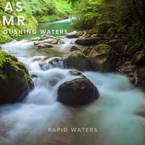 Rapid Waters