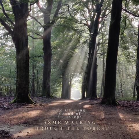 The Calming Sound of Footsteps