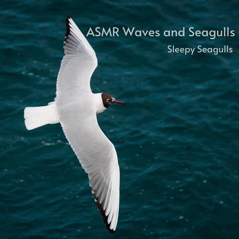 Sleepy Seagulls
