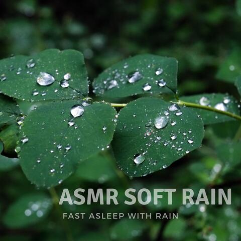 Fast Asleep with Rain