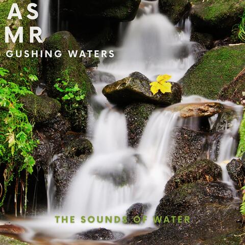 The Sounds of Water