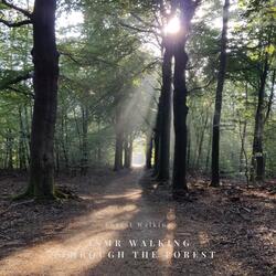 The Fresh Air in the Woods