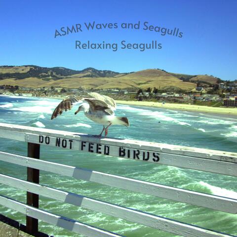 Relaxing Seagulls