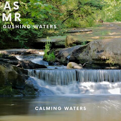 Calming Waters
