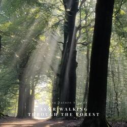 Trees and Walkers