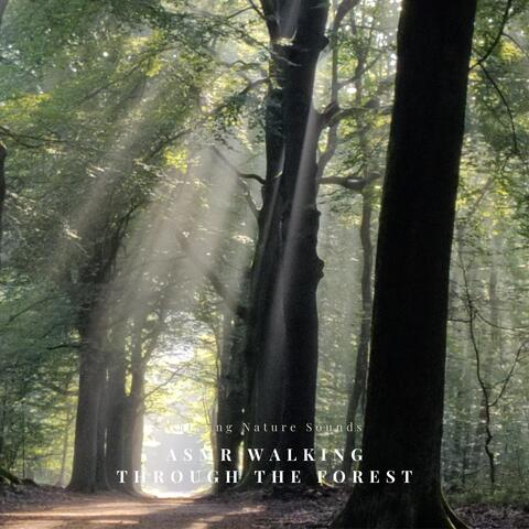 Calming Nature Sounds