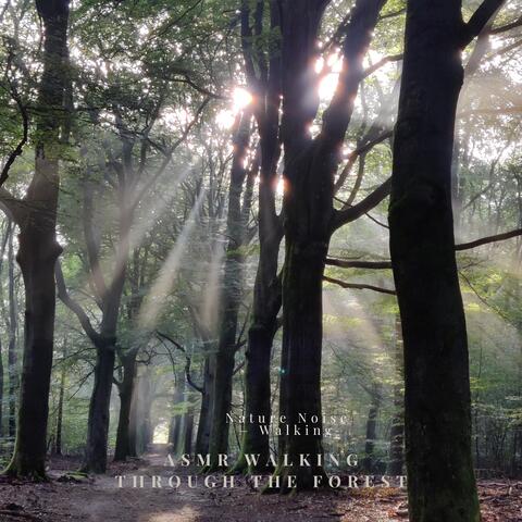 Nature Noise – Walking
