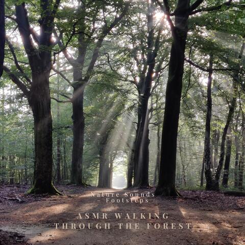 Nature Sounds – Footsteps