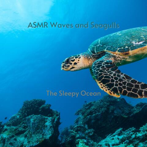 The Sleepy Ocean