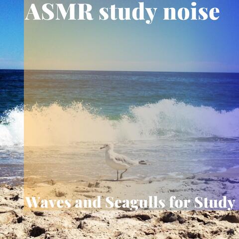 Waves and Seagulls for Study