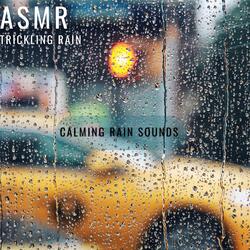 Sleeping with Rain Sounds