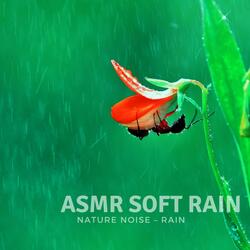 ASMR Soaking from the Rain