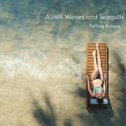 ASMR Calming Sleepy Seagulls