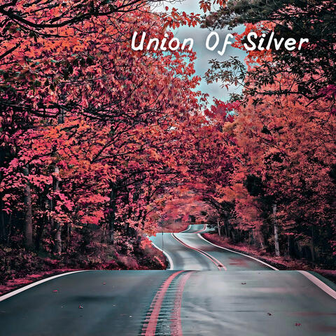 Union Of Silver
