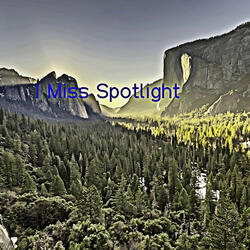 I Miss Spotlight