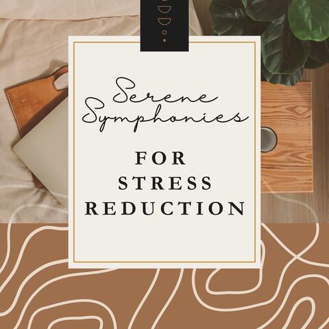 Serene Symphonies for Stress Reduction - Soulful Music to Unwind, Recharge, and Find Harmony
