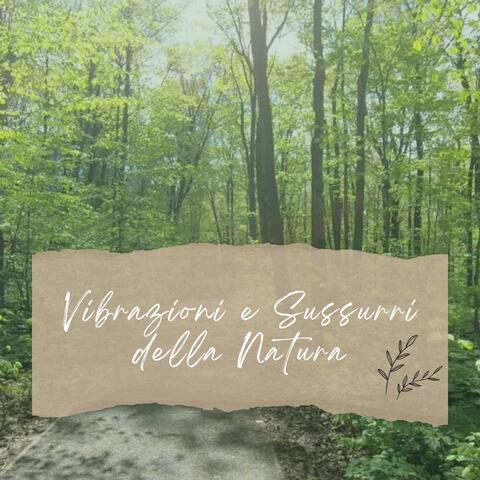 Vibrazioni e sussurri della natura: musica rilassante con suoni ambientali