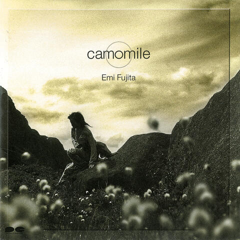 Camomile