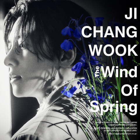 The Wind of Spring