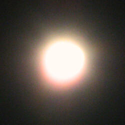 Dancing In The Moonlight