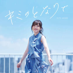 Kimi no Tonaride