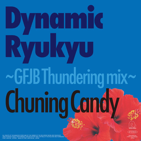Dynamic Ryukyu