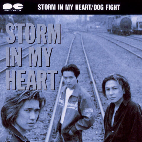 Storm in My Heart
