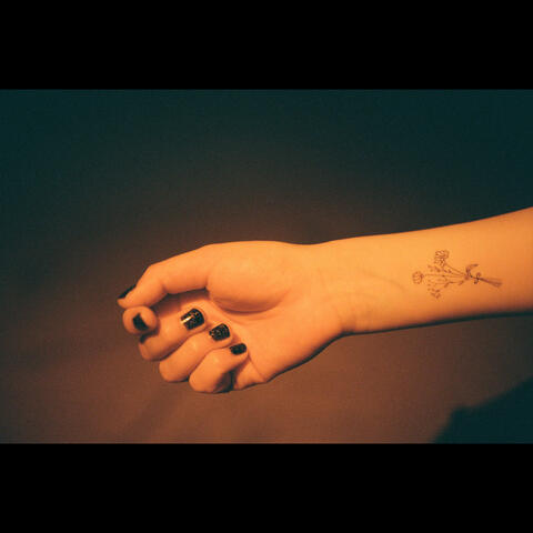Shadow Boxer