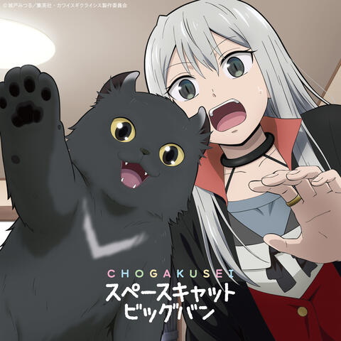 Space Cat Big Bang