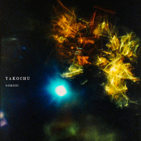 Yakochu