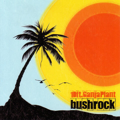 Bush Rock