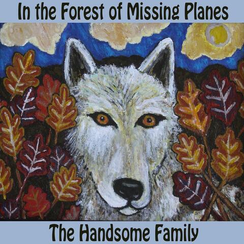In The Forest of Missing Planes